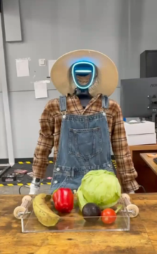 A humanoid robot wearing a straw hat, plaid shirt and denim overalls behind a tray of produce.